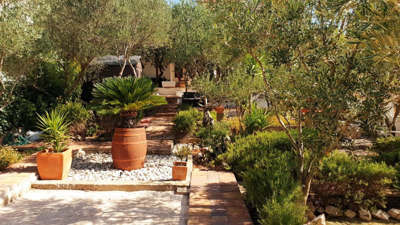 House Oliva With Private Pool And Large Garden Vila Stari Grad  Exterior foto