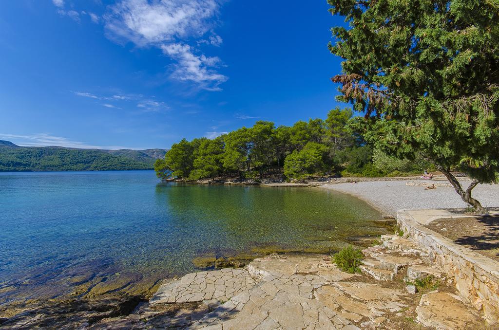House Oliva With Private Pool And Large Garden Vila Stari Grad  Exterior foto